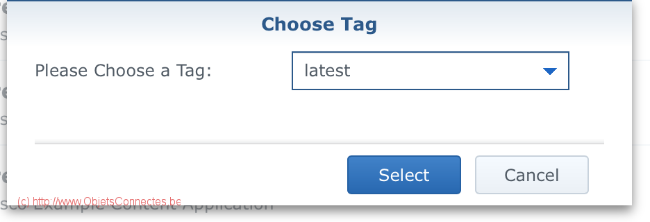 Synology DiskStation Docker Choose Tag